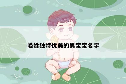 娄姓独特优美的男宝宝名字