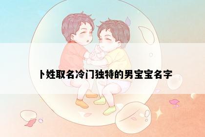 卜姓取名冷门独特的男宝宝名字